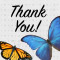 Butterfly Thank You Card.