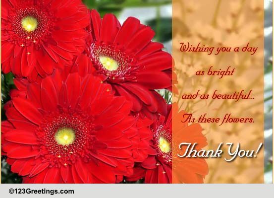 Special Thanks! Free For Everyone eCards, Greeting Cards | 123 Greetings