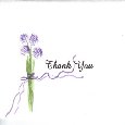 Thank You Allium Flower.