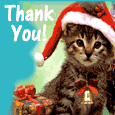 Cute Kitten Thank You Card!
