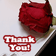Thank You Note With A Rose.