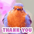 Thank You For Being Awesome Cute Bird.