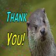 Otterly Awesome Thanks!