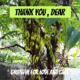 Thank You, Dear Green...