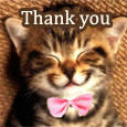 Purr-Fect Thank You Note!
