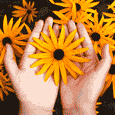 Hand Full Of Flowers.