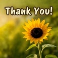 Thank Someone Who Helped You