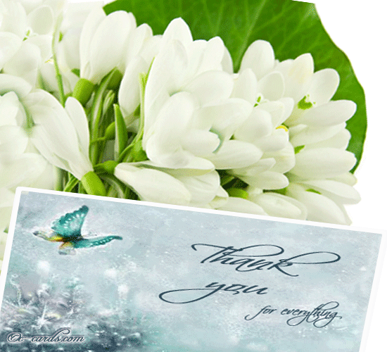 Snow Drops Thank You.