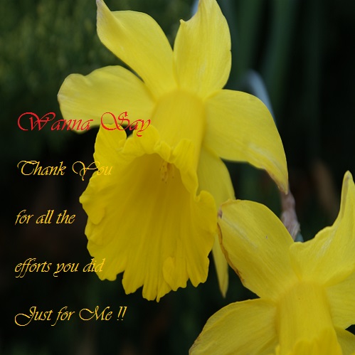 Thanking You From My Heart!
