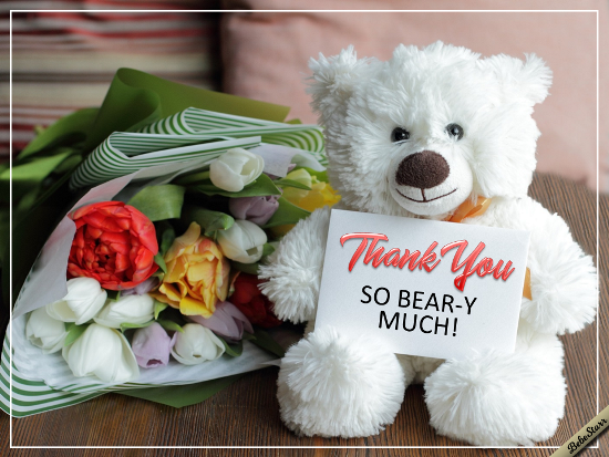 Thanks, So Bear-y Much!