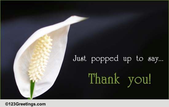 Share Thanks Wrapped In Petals!