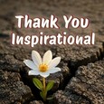 Send Thanks For The Inspiration
