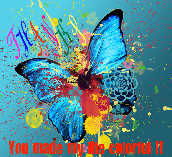 You Made My Life Colorful, Thanks!