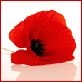 To Thank Your Love...