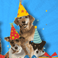 Bon Anniversaire!