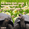 Kein Alter.