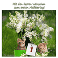 Liebe Gruesse