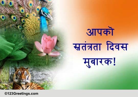 Hindi Independence Day (India) Cards, Free Hindi 