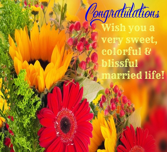 A Fresh Bouquet Of Flowers For You. Free Congratulations eCards | 123 ...