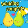 Happy Coupling! Congratulations!
