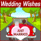 Congratulations For Your Wedding!