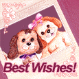 Best Wishes!