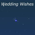 Twinkling Wedding Wishes!